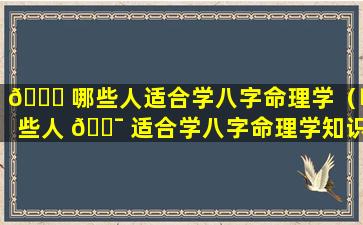 🐟 哪些人适合学八字命理学（哪些人 🐯 适合学八字命理学知识）